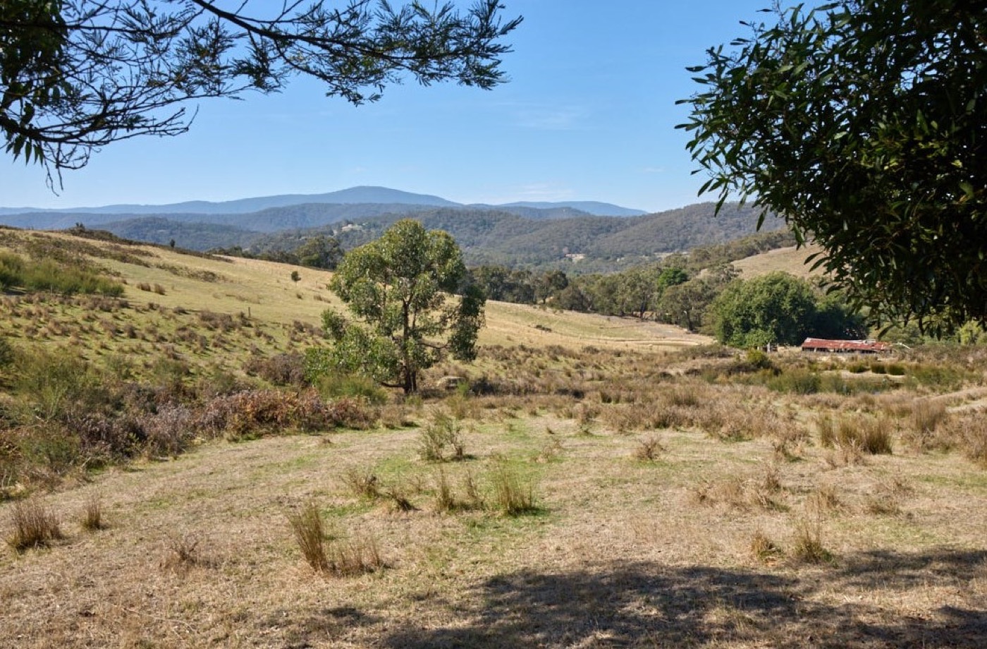 Dixons Creek