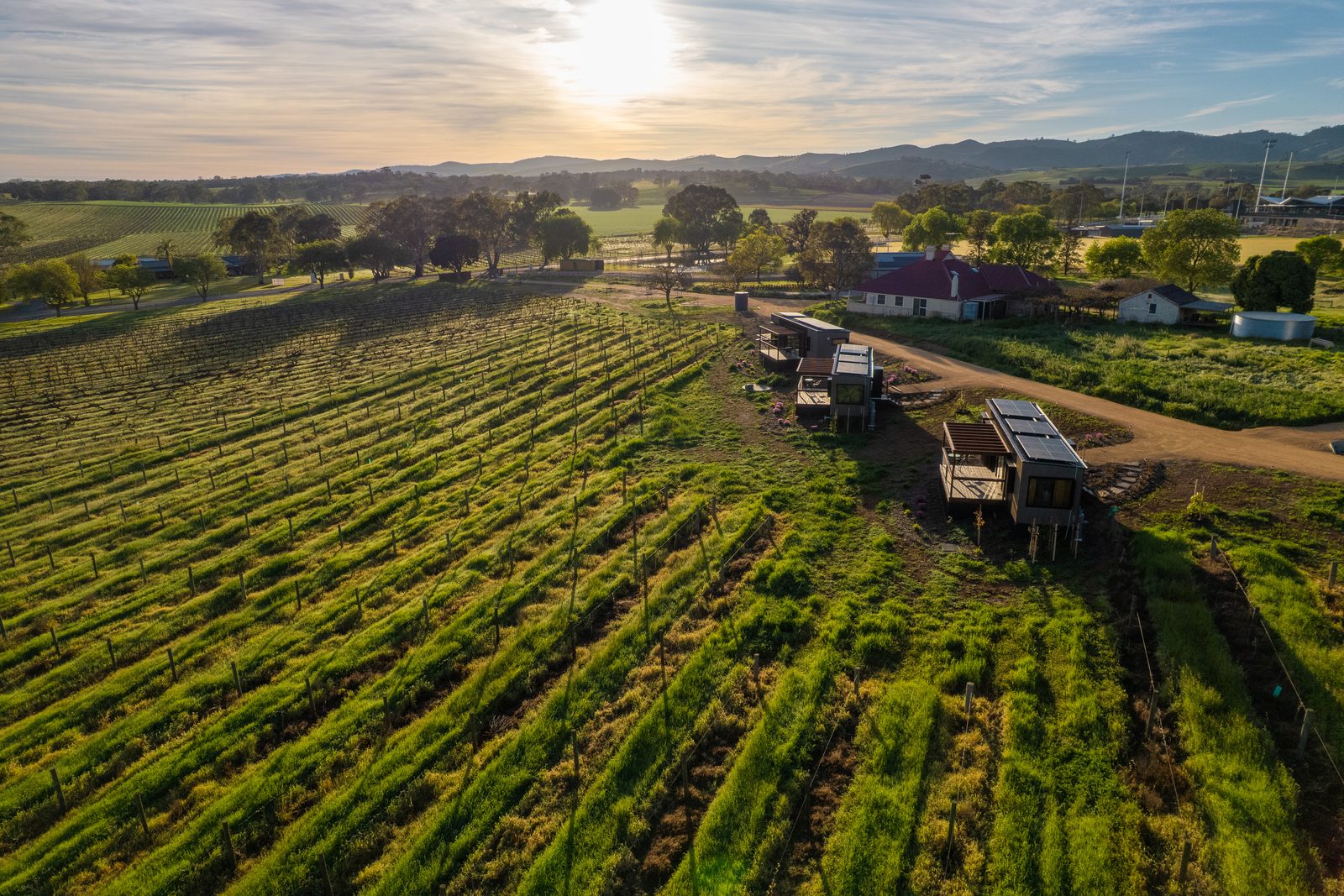 The AUTRA Lyndoch retreats following the vineyard rows at golden hour, Barossa Valley